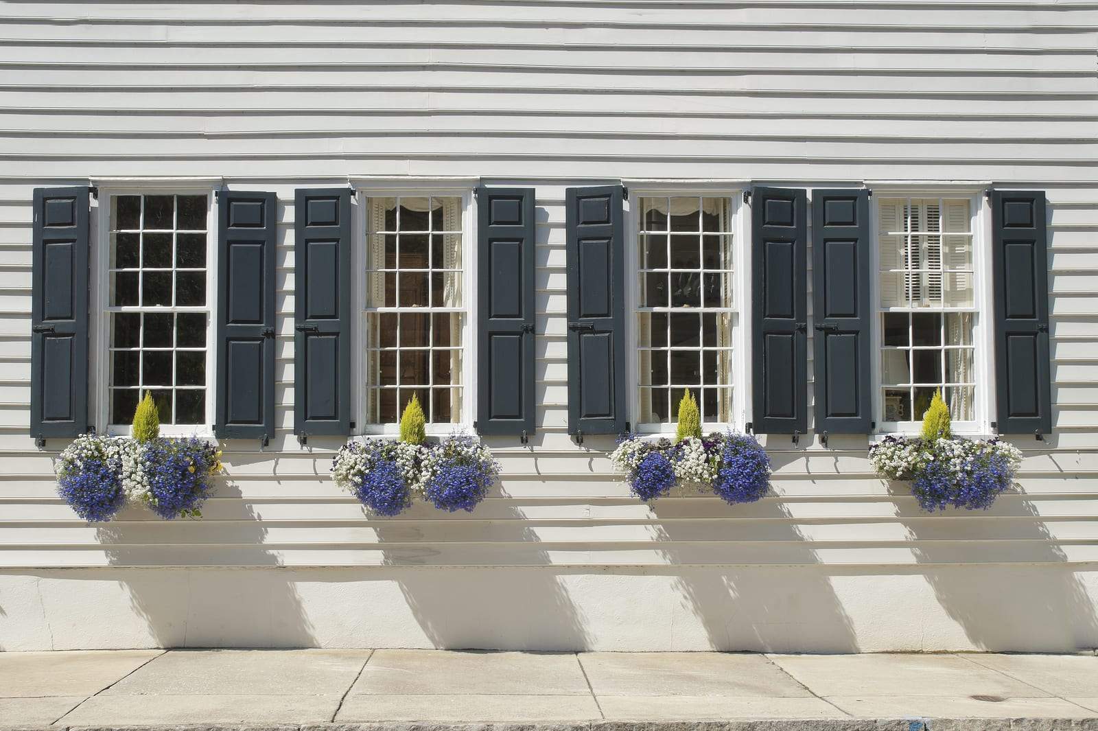 Dark paneled shutters beside white double-hung windows on a white clapboard house, with flower boxes of blue and white blooms beneath each window.