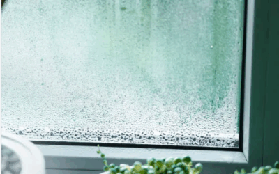 Fogged Glass Replacement: A Cost-Effective Solution for Charleston Homeowners